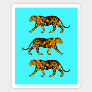 Three Tigers (Blue and Marigold) Magnet